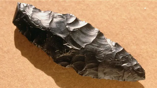 Неандертальцы применяли орудия труда