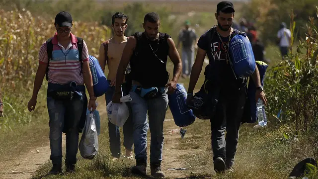 اللاجئون عبروا الحدود وسط حقول الذرة