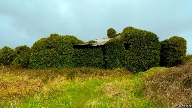 Elsinore, rumah musim panas Yeats kecil. 
