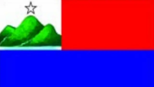 ပါတီအလံ