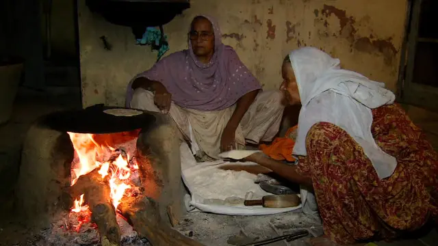 عورتوں کی زندگی کے مختلف پہلووں کو بھی سروے میں شامل کیا جانا چاہئے