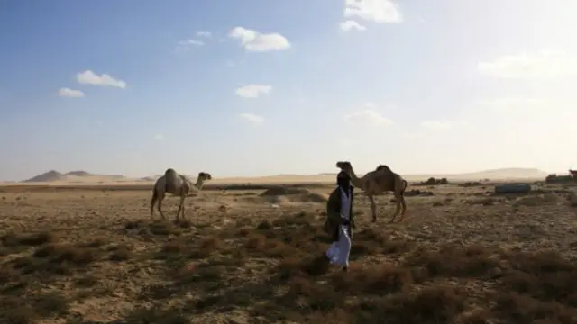 Un hombre junto a dos camellos en el desierto