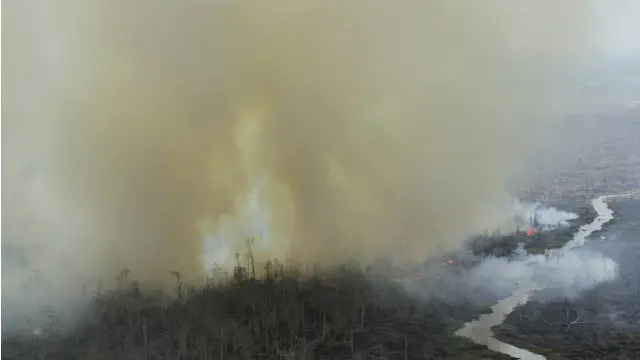 Pemerintah kini menggunakan citra satelit, analisis terestrial, dan pemeriksaan ke lapangan untuk menentukan luas kebakaran hutan dan lahan.