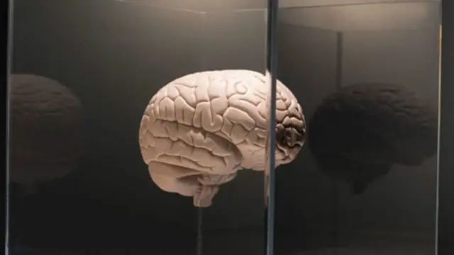 （圖片來源：Getty Images）