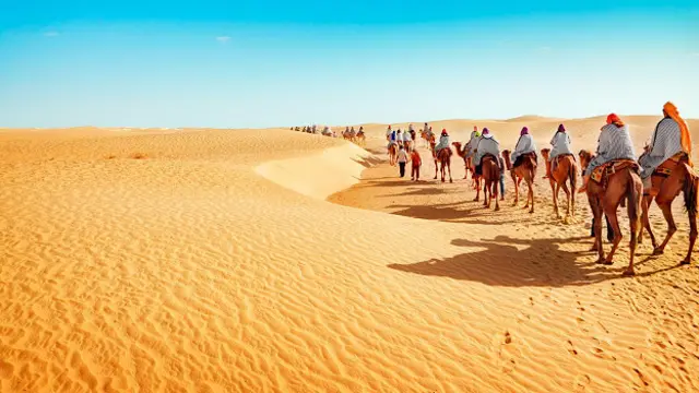 Человечество обосновалось во всех районах планеты – даже в пустынях