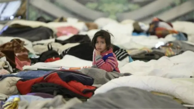 نئے قانون کے تحت ہنگری کی فوج سرحد پر پناہ گزینوں کو کنٹرول کرنے کے لیے ربڑ کی گولیاں، آنسو گیس اور نیٹ گنز کا استعمال کر سکے گی