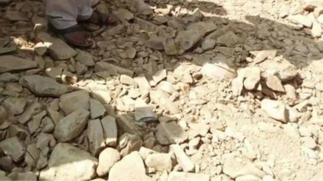 مدھیہ پردیش کے وزیر سرتاج سنگھ نے اس واقعے کی رپورٹ طلب کی ہے