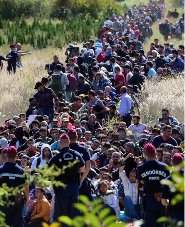Мигранты на границе Хорватии и Венгрии