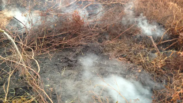 Semakin murah biaya pembersihan, maka untung pembeli lahan akan semakin besar.