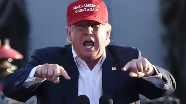 امریکہ میں ریپبلکن پارٹی کا صدارتی امیدوار بننے کی دوڑ میں شامل ارب پتی تاجر ڈونلڈ ٹرمپ نے کہا تھا کہ اگر وہ صدر بن گئے تو امریکہ کی جانب سے قبول کیے گئے تمام شامی پناہ گزینوں کو واپس بھیج دیا جائے گا