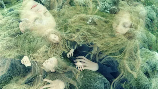 Під час розвитку в утробі матері близнюки можуть обмінюватися клітинами. Отже, зв'язок між ними є ще тіснішим, ніж ми завжди вважали