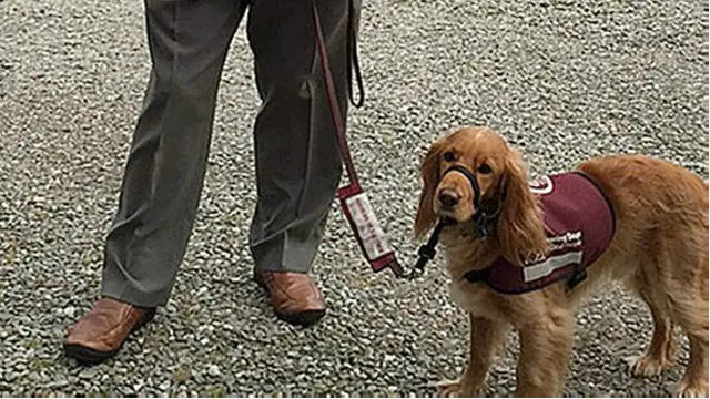 د ټولګي ښوونکې ایلما مکارتر وايي جینجر ډېر ځیرک سپی دی