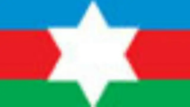 ပါတီအလံ