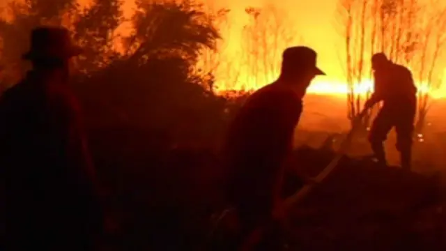 Perusahaan-perusahaan harus menyediakan perlengkapan pencegahan kebakaran