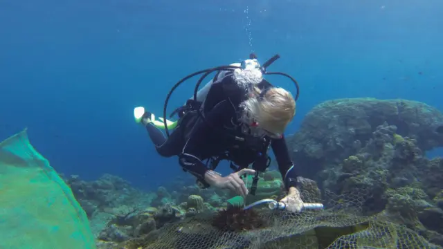 Доктор Лиса Бостром-Эйнарссон