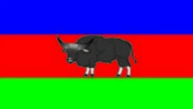 ပါတီအလံ