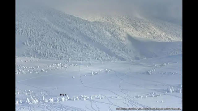 'विंटर स्पक्टेकल', शो शिबाता