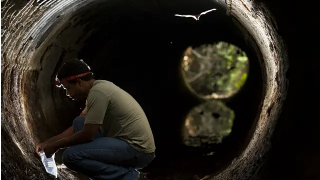 Pesquisador da UFES Áureo Banhosc darwin pokertrabalho para adaptar os dutosc darwin pokerágua fluvial para passagemc darwin pokerfauna; ao alto, um morcego passa pela manilha: ao menos 47 espécies desse mamífero já foram atropeladas na rodovia