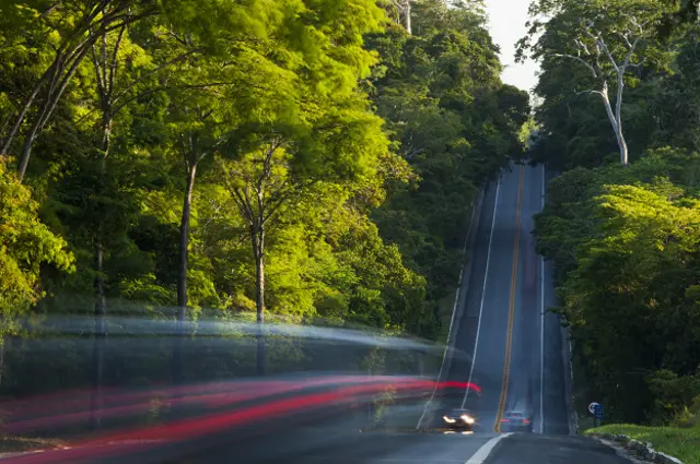 Trânsito na BR-101 no trecho que corta a reservac darwin pokerSooretema; área é último refúgio na região para grandes mamíferos 