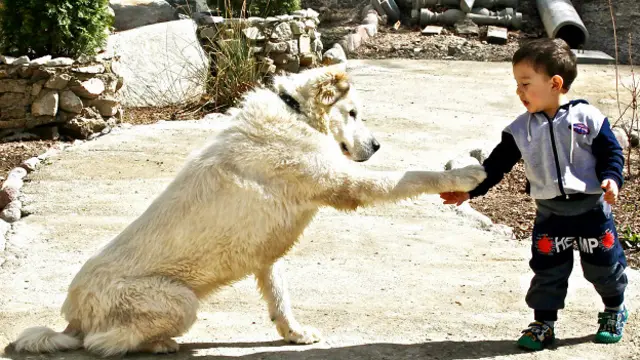 Акмал Усманов