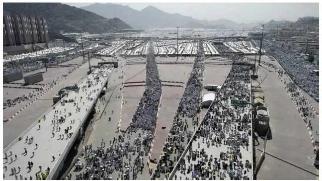 د سعودي عربستان د روغتیا وزیر وايي پېښه د سپارښتنو او لارښونو د نه تعقیبولو له کبله رامنځته شوې.