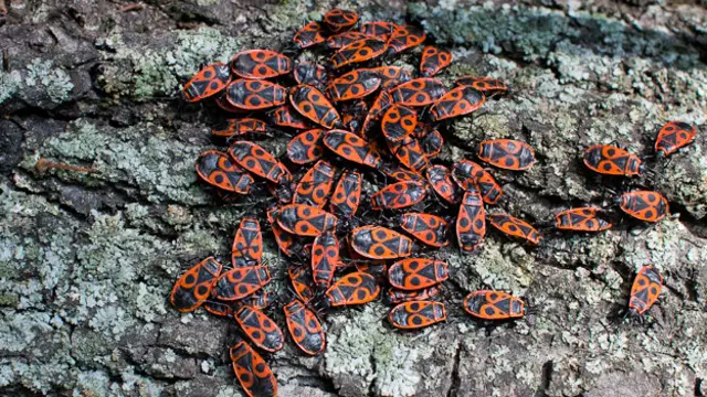 Юрий Федоров