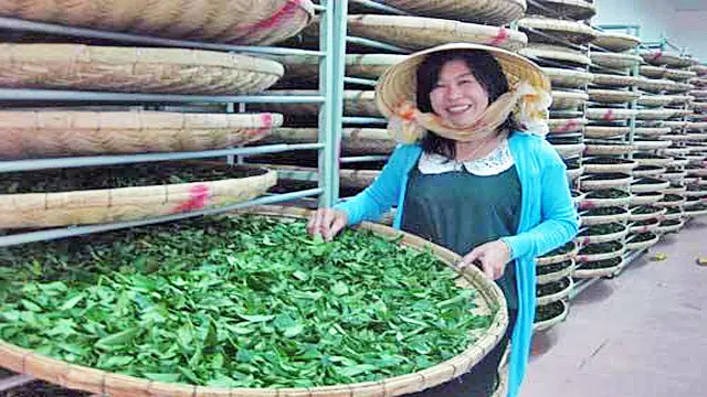 Hà Thúy Linh, 45 tuổi, là Phó chủ tịch Hội Doanh nhân trẻ tỉnh Lâm Đồng.