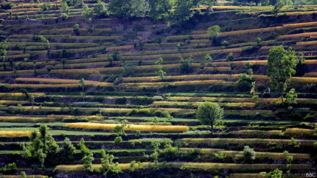 جس باغ کا رستہ اتنا خوبصورت ہو وہ خود کتنا دلکش ہوگا نا؟