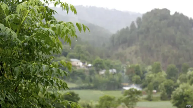 پوری وادی بارش میں نہانے کے بعد بارش کے قطرے اوڑھے کھڑی تھی