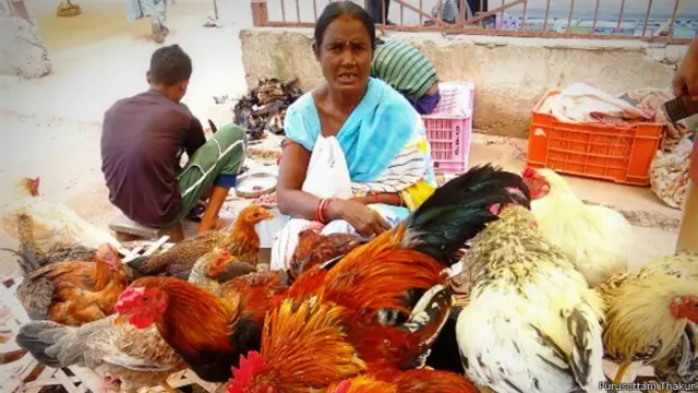 प्रतिमा कोसरे