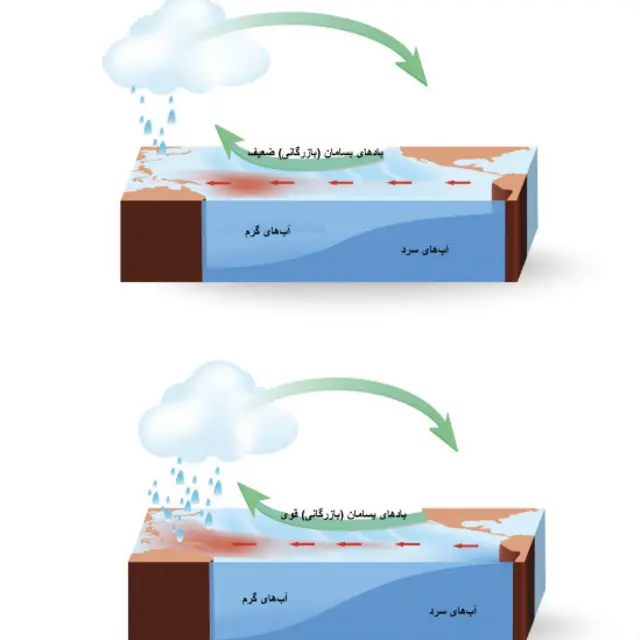 سال عادی (بالا) و سال ال‌نینیو (پایین)