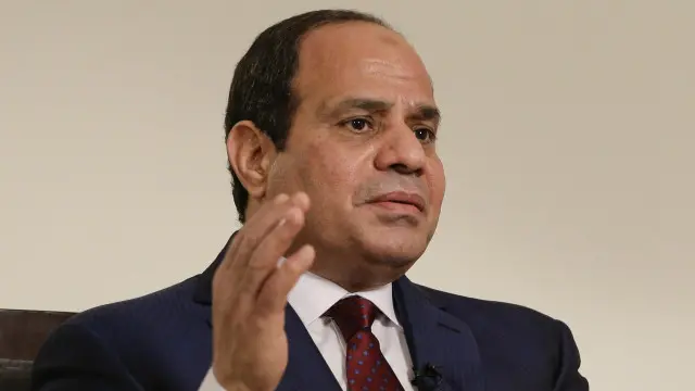 أصدر السيسي قبل أيام عفوا عن مئة شخص بينهم نشطاء واثنان من صحفيي الجزيرة أدانتهما محكمة مصرية في قضية "خلية الماريوت". 