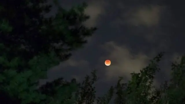 القمر العملاق فوق الأشجار في كونيكيكت في الولايات المتحدة
