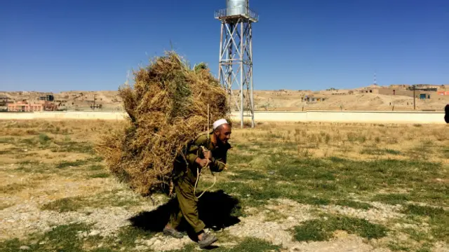 بیشتر مردم غور با درآمد پایین و کارهای زراعتی زندگی می‌کنند