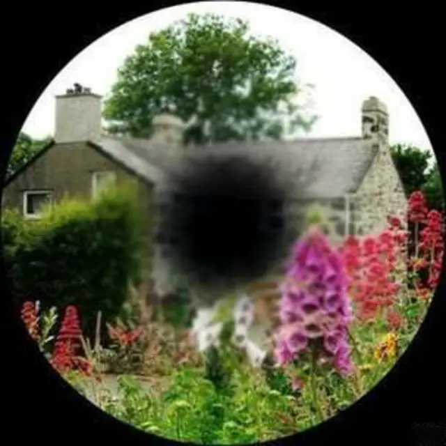 поле зрения