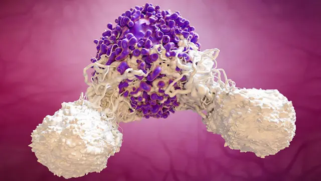 Клетки рака