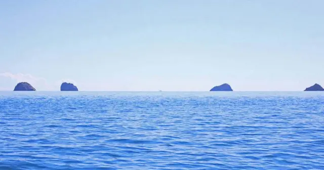  四兄弟(图片来源：Anisha Shah)