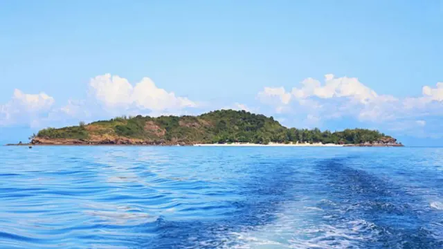 原始的海底世界(图片来源：Anisha Shah)