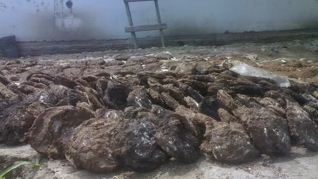 Африка ё Ҳиндистонда ёқилғи йўқлиги учун таппи ёқишади, аммо четга газ сотаётган ўзбекнинг куни нега таппига қолаётгани ғалати. (Суратлар Yumoristika Jurnalistika Geofizika блоги "Таппи тайёрлаш технологияси" мақоласидан олинган).