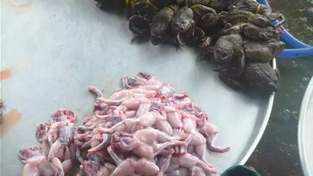 آیدا: در سفر یاد می‌گیرید آنچه عادت روزانه یا باور شما بوده می‌تواند در جایی دیگر کاملا متضاد رخ دهد و همچنان عادی تلقی شود. در ویتنام قورباغه و موش در منوی غذای رستوران‌ها فراوان بود 