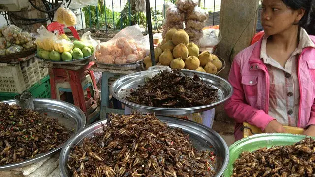"در کامبوج وقتی اتوبوس بعد از ساعت‌ها حرکت در یک جاده ناهموار برای تنفس توقف کرد، دیدم مسافران سوسک‌های سرخ شده را به عنوان تنقلات می‌خریدند و با آب و تاب می‌جویدند. راستش را بخواهید این یکی را جرات نکردم امتحان کنم"