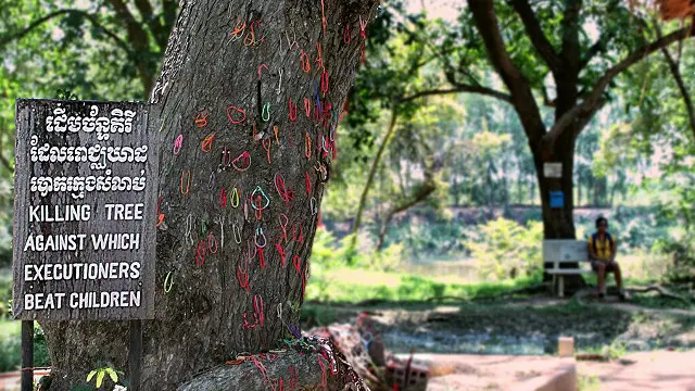 "درختی در محل یادبود کشته‌شدگان جنگ‌های داخلی کامبوج هست که صدها یا شاید هزاران نفر را در پای آن کشته‌اند"