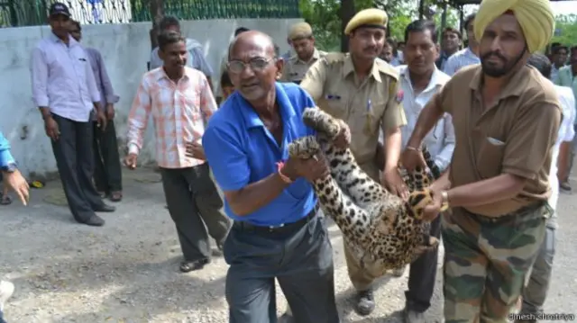 خو پای کې ځايي چارواکو وژغوره.