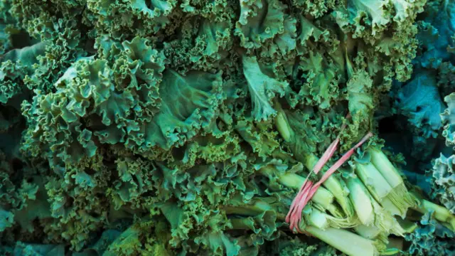 Кудрявая кормовая капуста браунколь (kale)