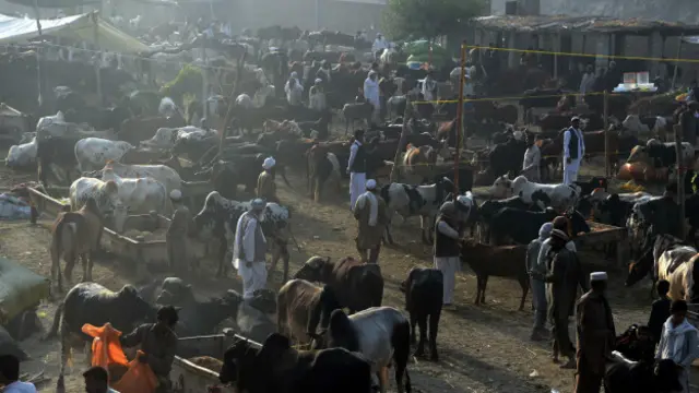 Fotoğraf - Arşiv: Celalabad kentinden bir görüntü