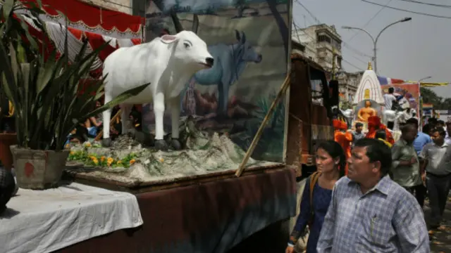 بھارت میں گائے کی پوجا ہوتی ہے