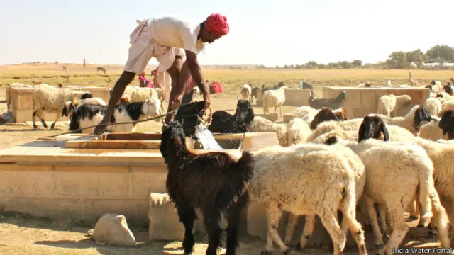 बाहर से कुएं की तरह दिखने वाली बेरियां ज़मीन के नीचे फंसे पानी को ऊपर तक लाने में सफल रहतीं हैं. 