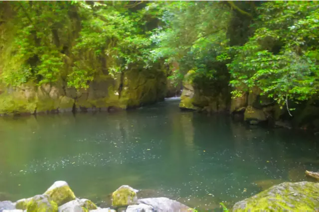 Лесное озеро