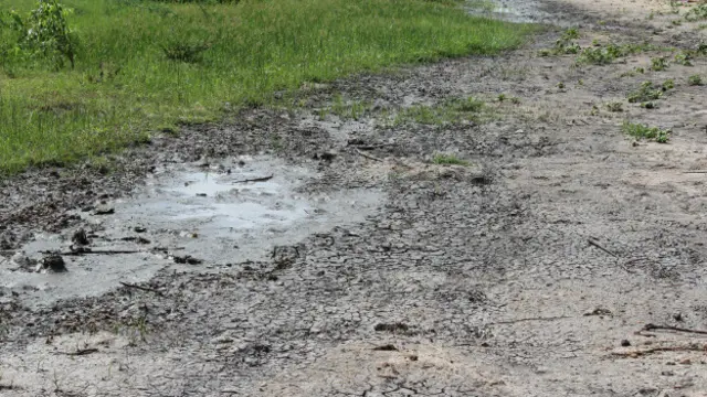 कर्नाटक में सूखा