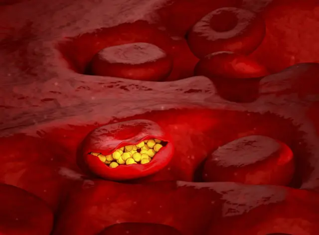 Вирус малярии